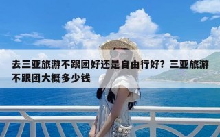 去三亚旅游不跟团好还是自由行好？三亚旅游不跟团大概多少钱