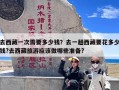 去西藏一次需要多少钱？去一趟西藏要花多少钱?去西藏旅游应该做哪些准备?