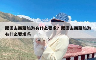 跟团去西藏旅游有什么要求？跟团去西藏旅游有什么要求吗