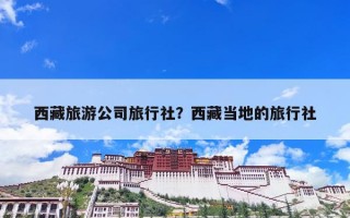 西藏旅游公司旅行社？西藏当地的旅行社