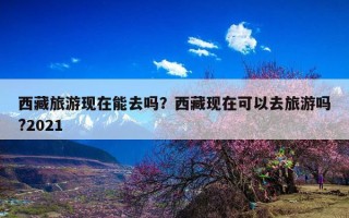 西藏旅游现在能去吗？西藏现在可以去旅游吗?2021