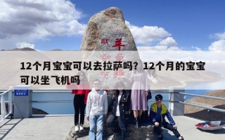 12个月宝宝可以去拉萨吗？12个月的宝宝可以坐飞机吗