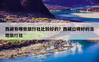 西藏有哪些旅行社比较好的？西藏口碑好的当地旅行社