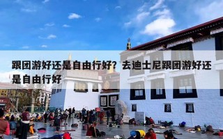 跟团游好还是自由行好？去迪士尼跟团游好还是自由行好