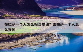 在拉萨一个人怎么报当地团？去拉萨一个人怎么报团