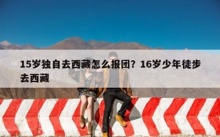 15岁独自去西藏怎么报团？16岁少年徒步去西藏