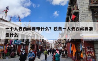 一个人去西藏要带什么？独自一人去西藏要准备什么