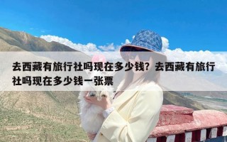 去西藏有旅行社吗现在多少钱？去西藏有旅行社吗现在多少钱一张票