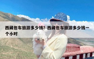 西藏包车旅游多少钱？西藏包车旅游多少钱一个小时