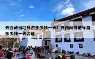 去西藏当地导游多少钱一天？去西藏当地导游多少钱一天合适