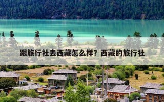 跟旅行社去西藏怎么样？西藏的旅行社