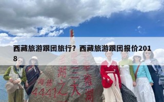 西藏旅游跟团旅行？西藏旅游跟团报价2018