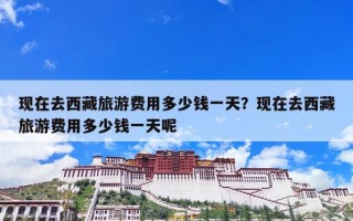 现在去西藏旅游费用多少钱一天？现在去西藏旅游费用多少钱一天呢