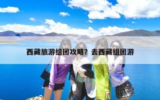 西藏旅游组团攻略？去西藏组团游