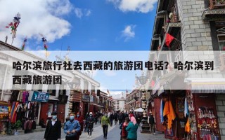 哈尔滨旅行社去西藏的旅游团电话？哈尔滨到西藏旅游团