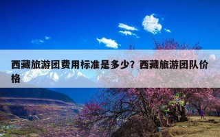 西藏旅游团费用标准是多少？西藏旅游团队价格