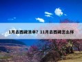 1月去西藏清单？11月去西藏怎么样