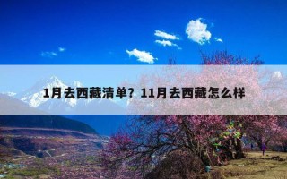 1月去西藏清单？11月去西藏怎么样