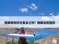 西藏报团好还是自己好？西藏当地报团