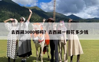 去西藏3000够吗？去西藏一般花多少钱