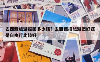 去西藏旅游报团多少钱？去西藏报旅游团好还是自由行比较好