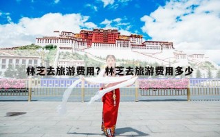 林芝去旅游费用？林芝去旅游费用多少